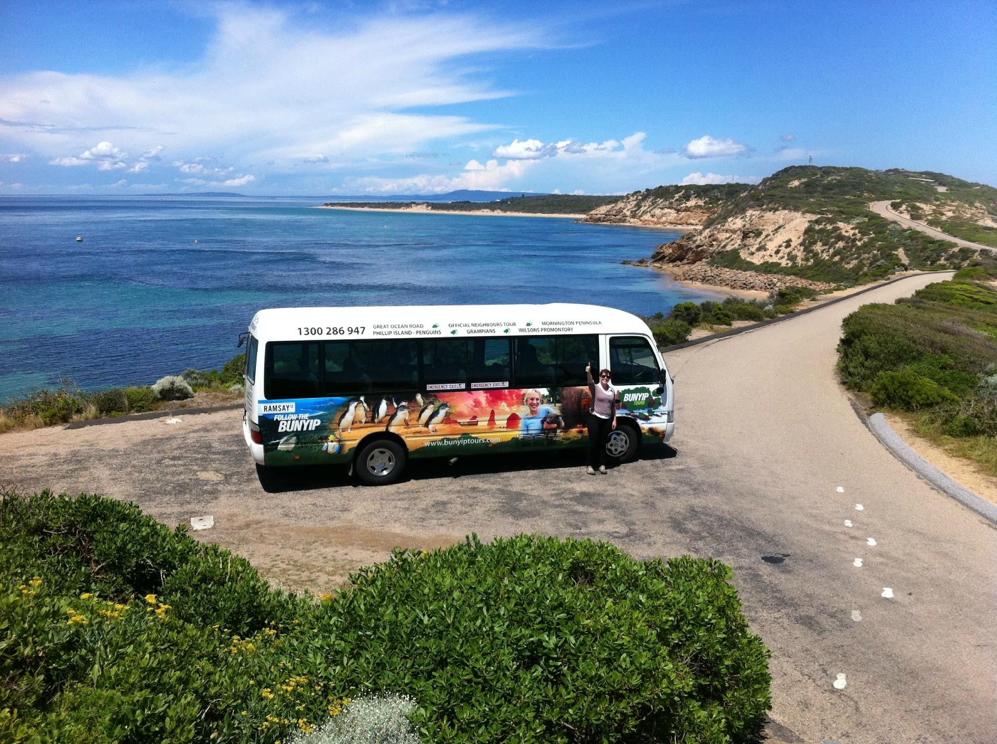 Mount Martha beach on the Mornington Peninsula — Bunyip Tours operator