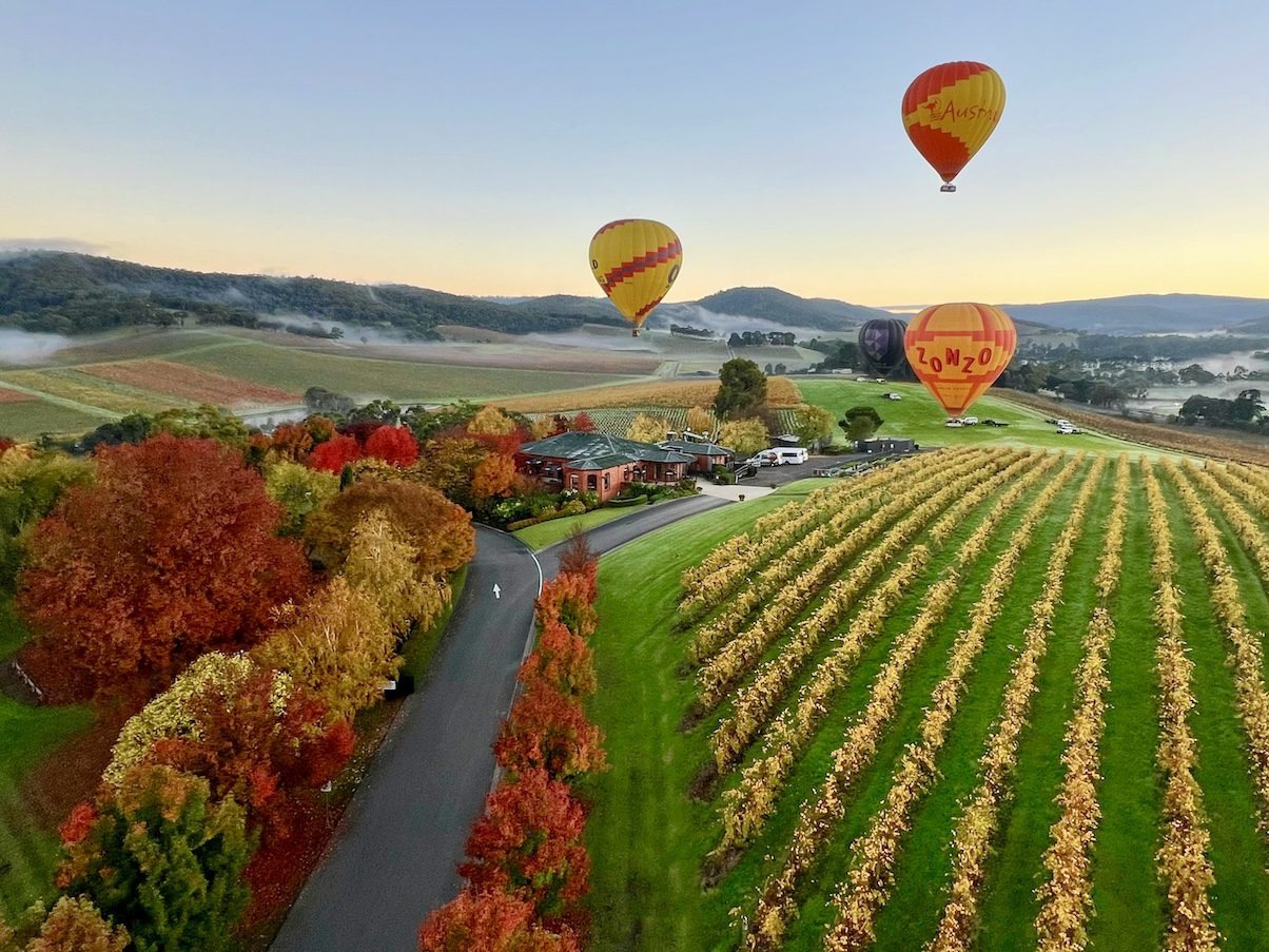 Farnsworth Track walking country, Global Ballooning peninsula region