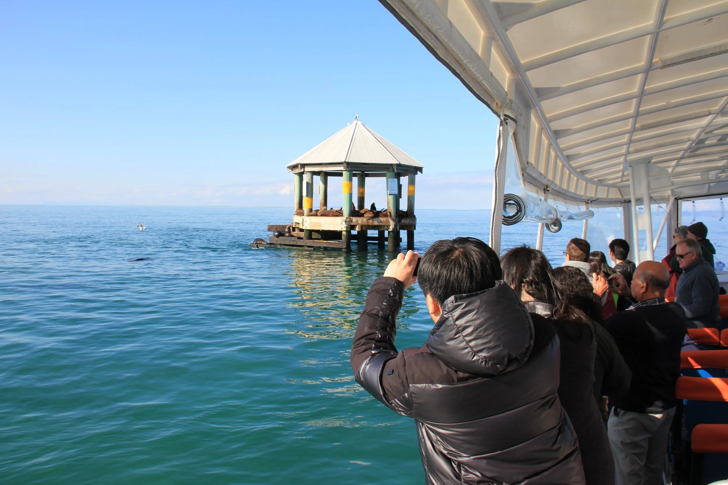 Dromana foreshore, Moonraker Charters departure region