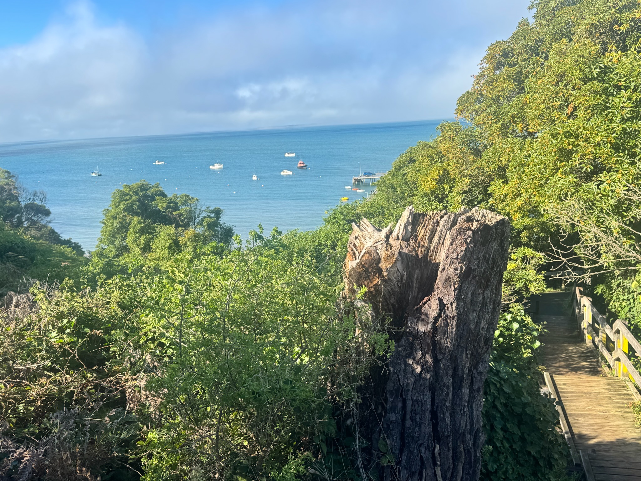 Portsea front beach on the Mornington Peninsula — family coastal adventure weekend