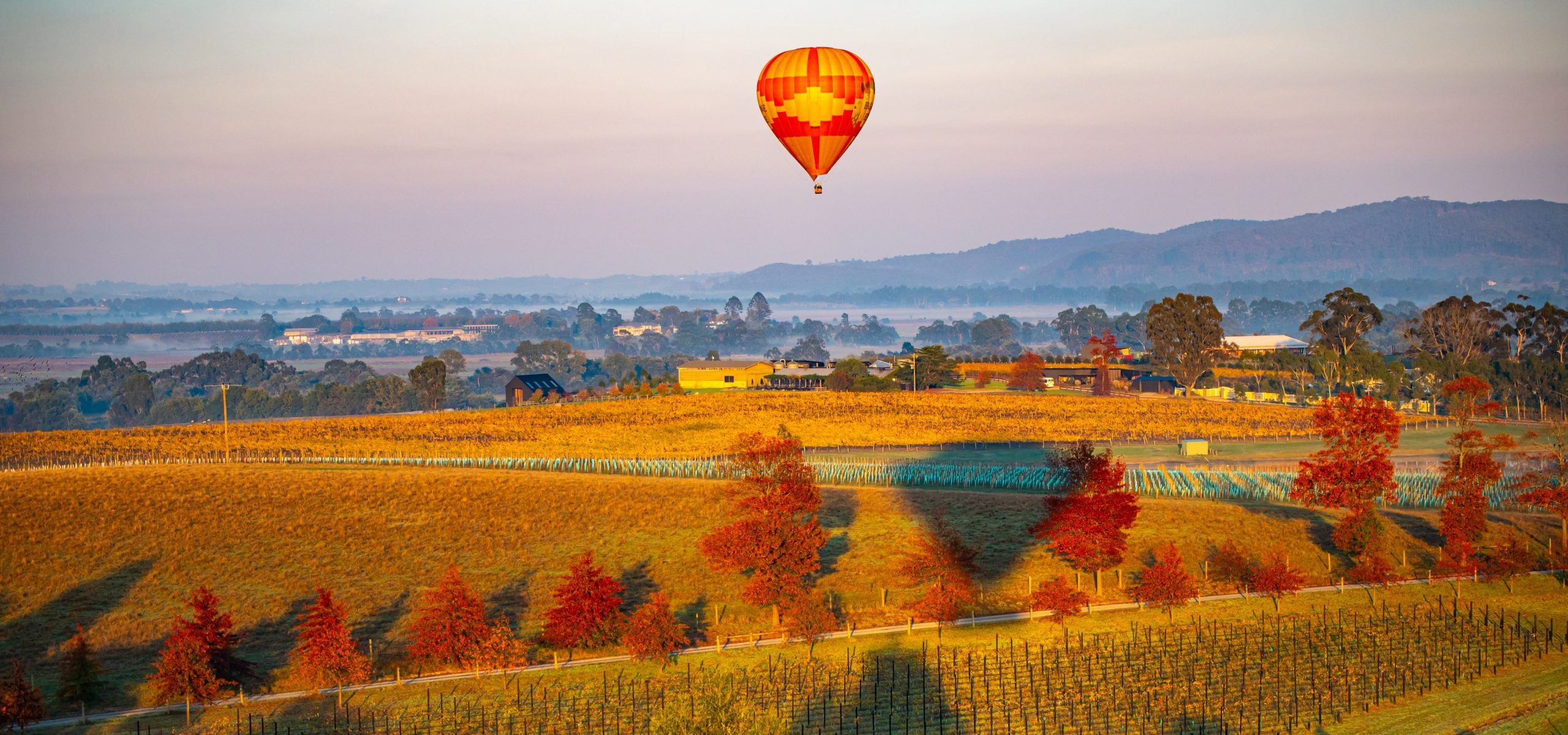 Flinders weekend landscape, Global Ballooning Peninsula region