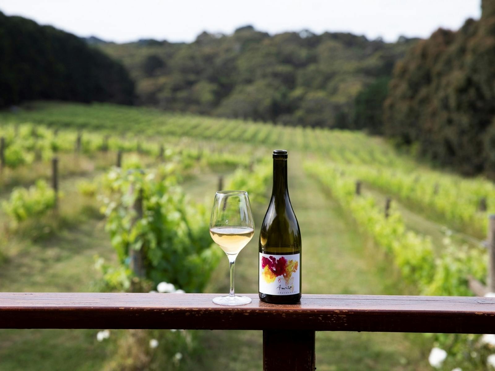 Avani Wines