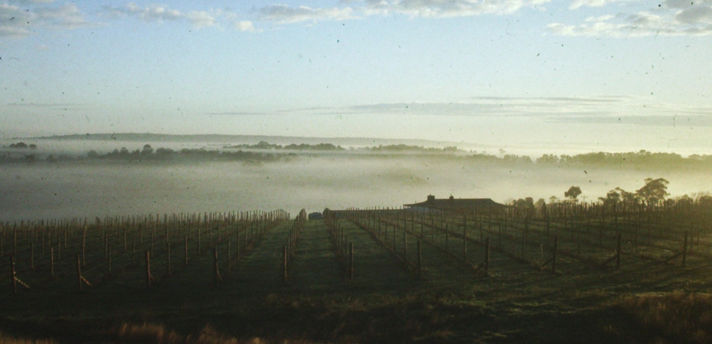 Moorooduc Estate